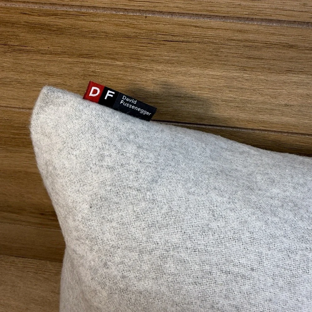 David Fussenegger Gray Soft Pillow Alpine Chalet Eat Sleep Ski Repeat Winter